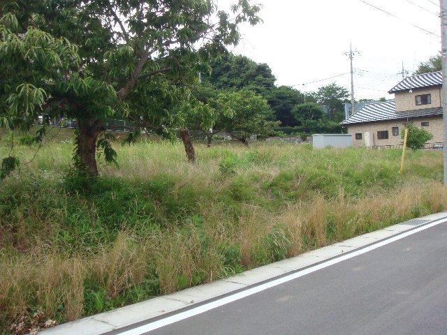 Local land photo
