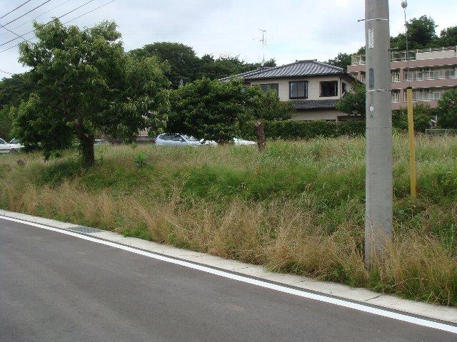 Local photos, including front road