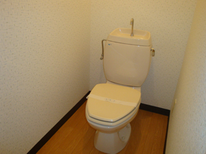 Toilet. Western-style toilet