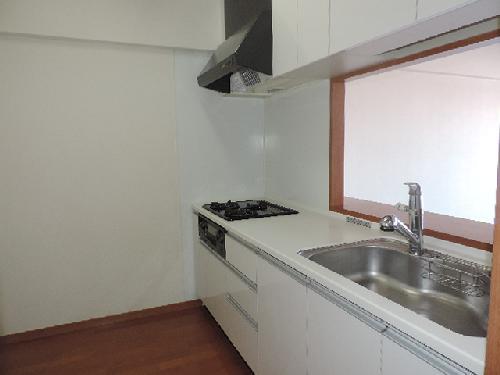 Kitchen. Indoor (12 May 2013) Shooting