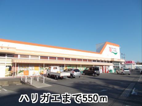 Supermarket. Harigae until the (super) 550m