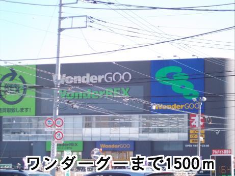 Rental video. Wonder goo 1500m up (video rental)