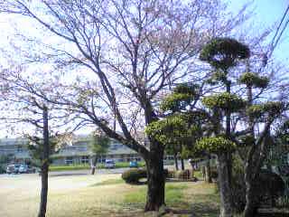 Primary school. 337m until Tsuchiura Municipal Arakawaoki Elementary School