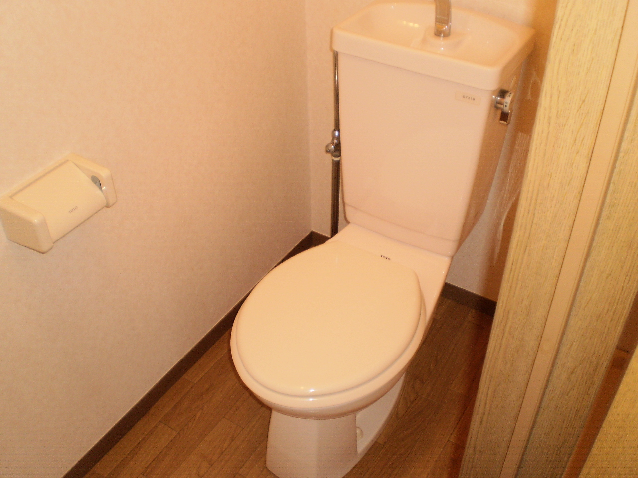 Toilet. Western-style toilet