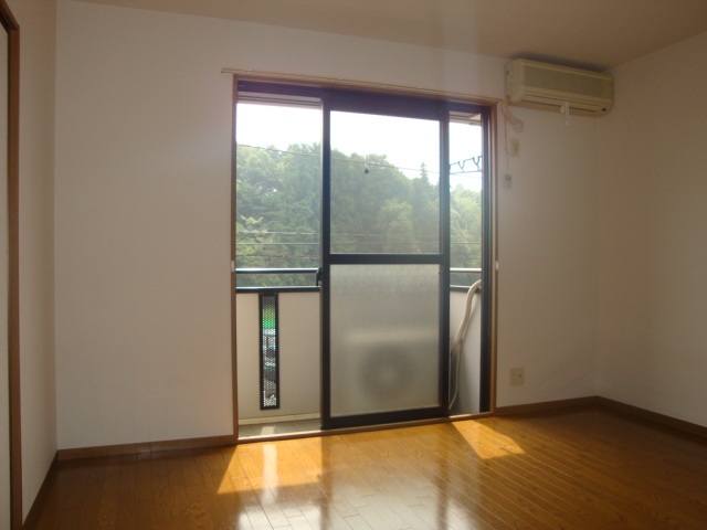 Living and room. DK space