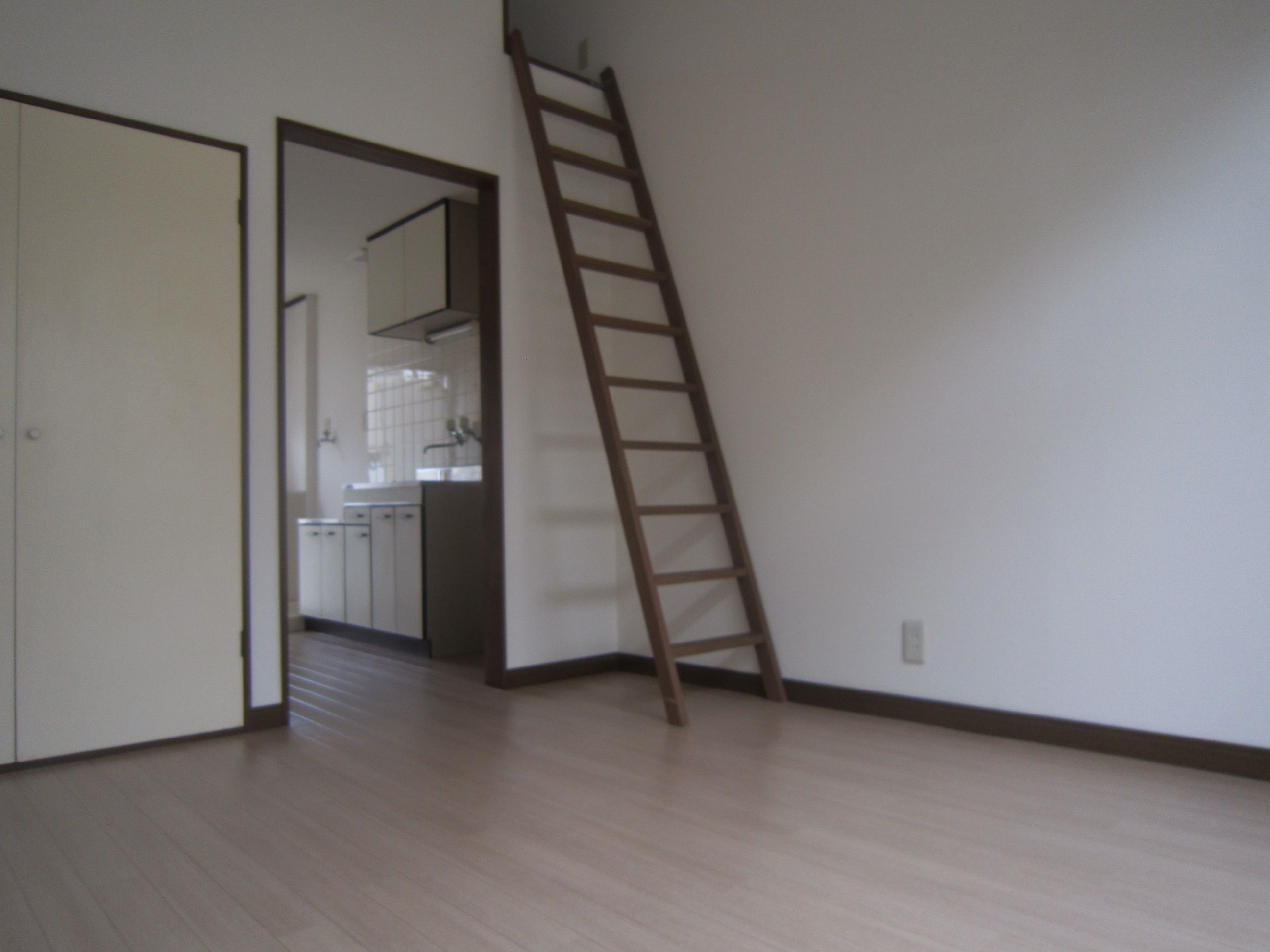 Living and room. room