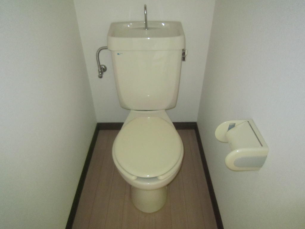 Toilet. Toilet