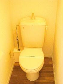 Toilet. We offer a clean toilet