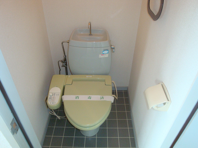 Toilet. Western-style toilet