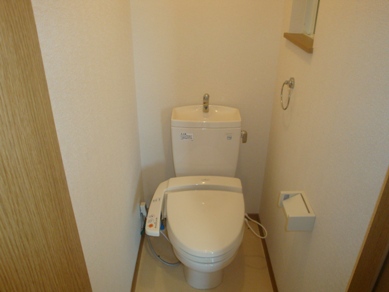 Toilet. Western-style toilet