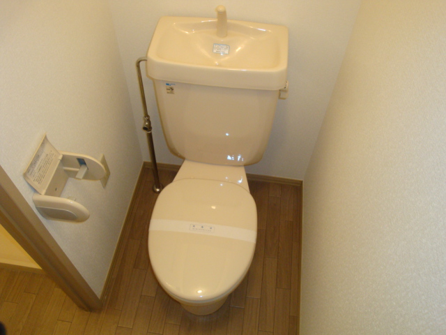 Toilet. Western-style toilet