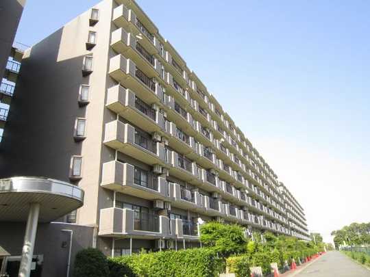 Local appearance photo. Appearance 1