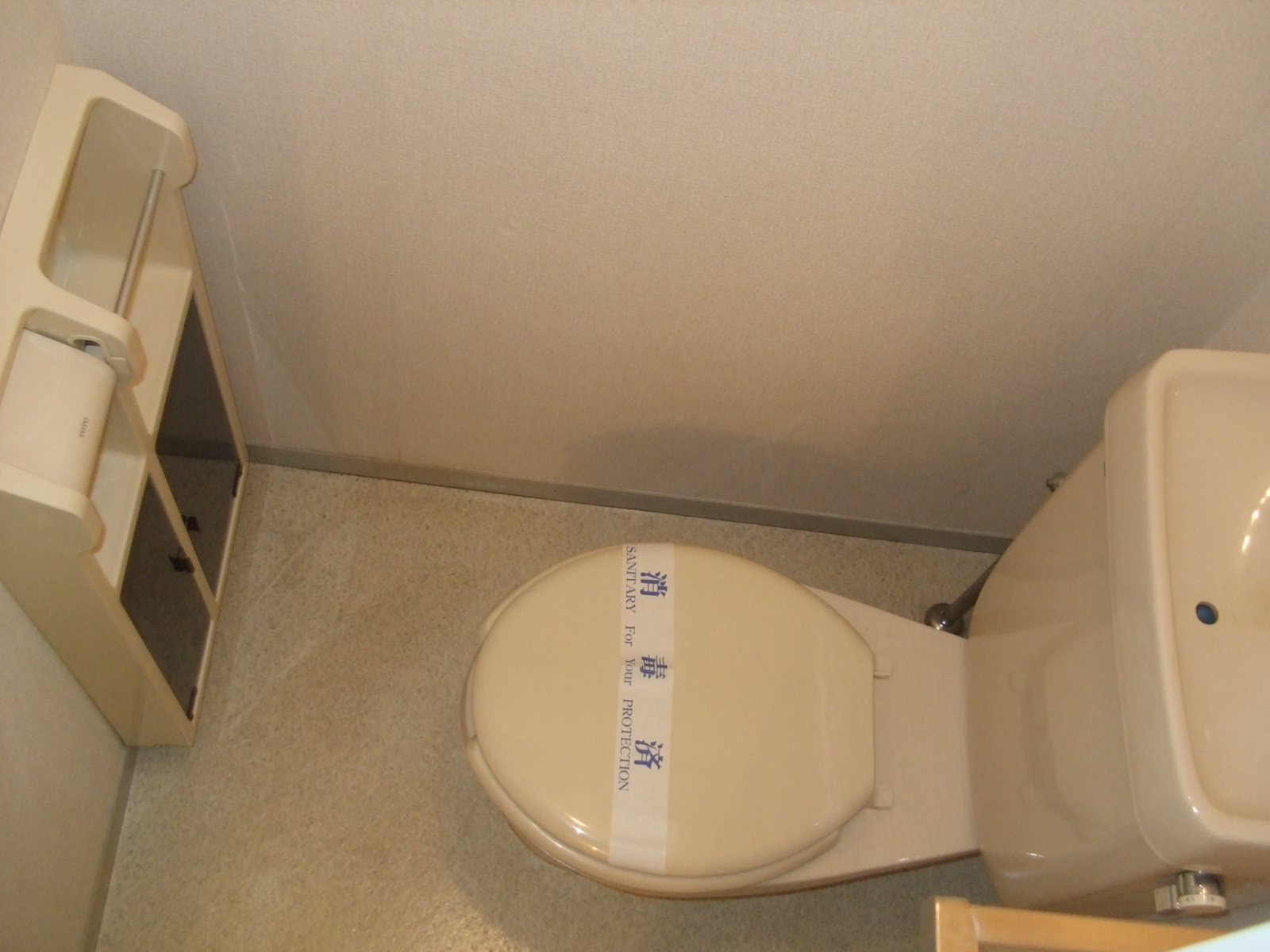 Toilet. Toilet