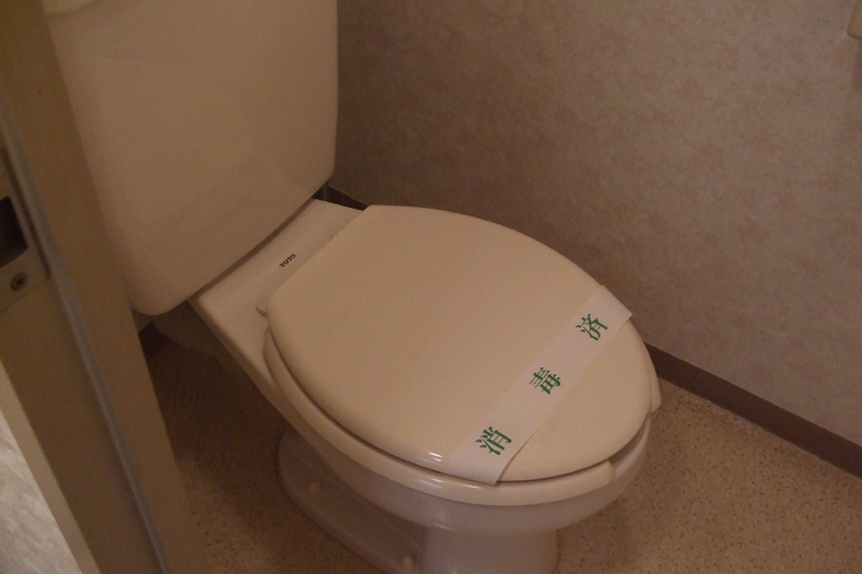 Toilet. Western-style toilet