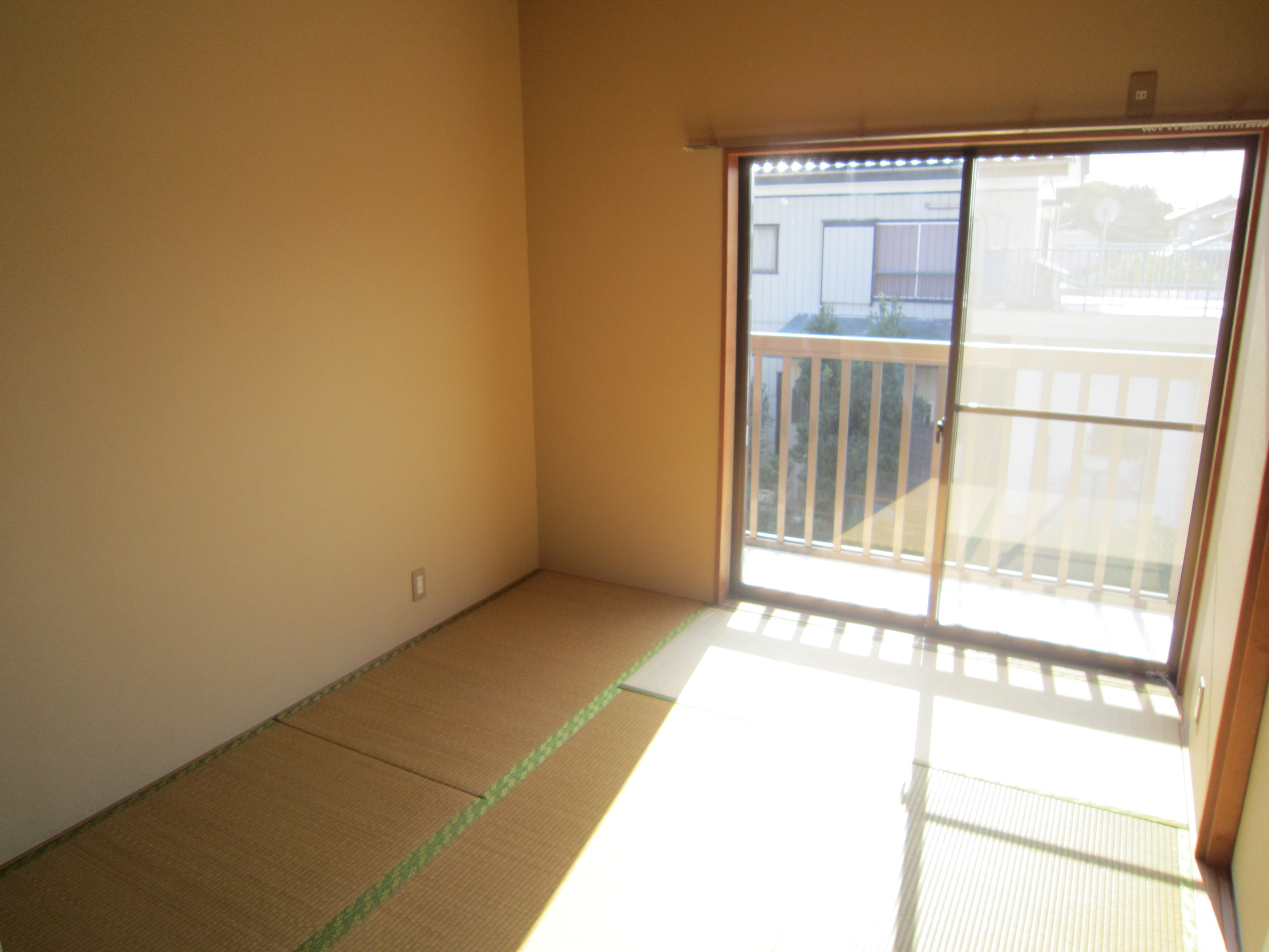 Living and room. Japanese-style room (1)