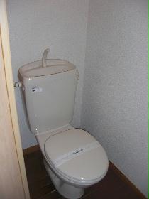 Toilet. We offer a clean toilet