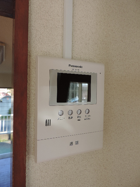 Security. Monitor with intercom