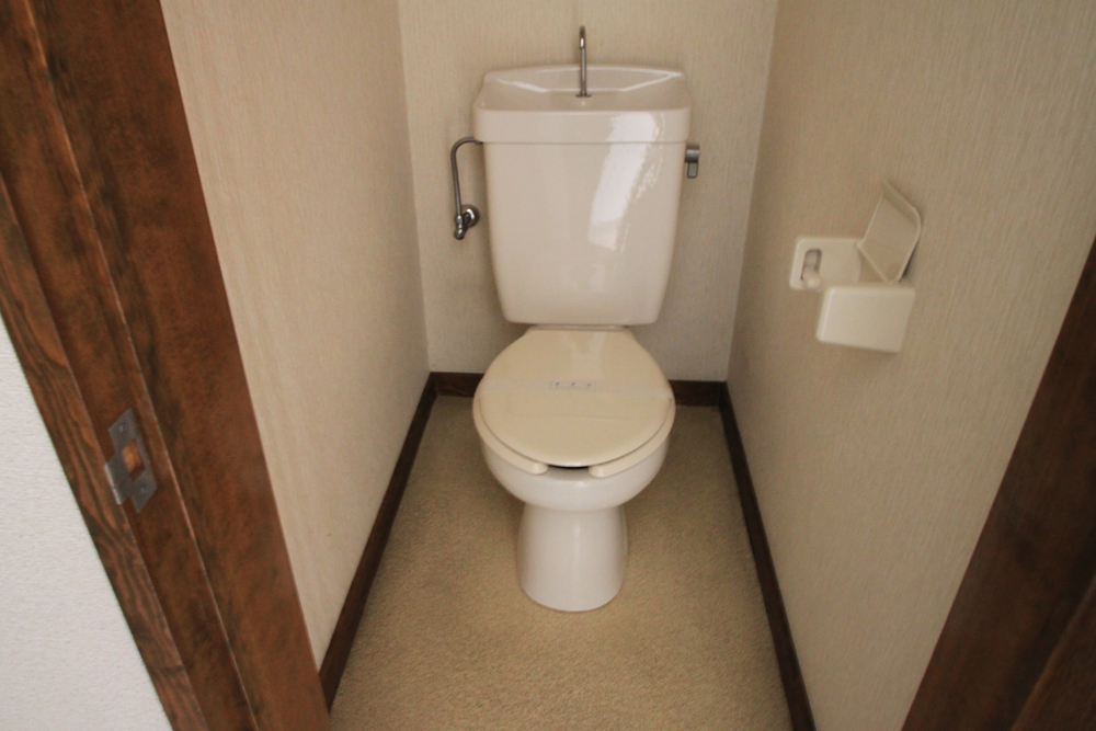 Toilet. Western-style toilet