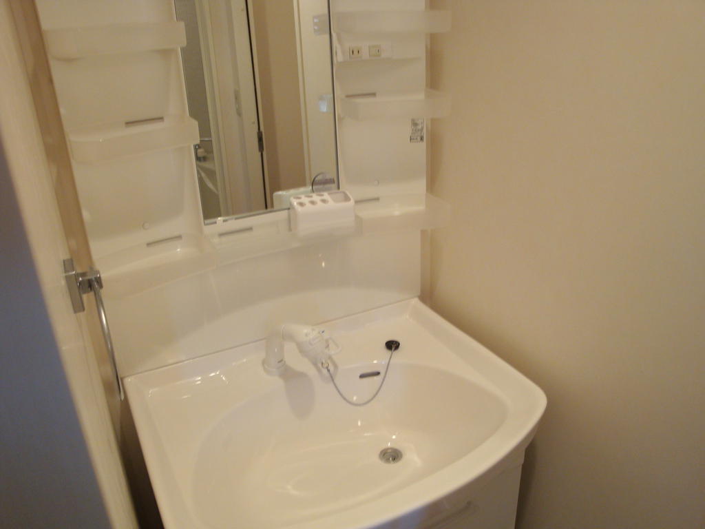 Washroom. Shampoo dresser