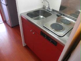 Kitchen. Caring simple electric stove