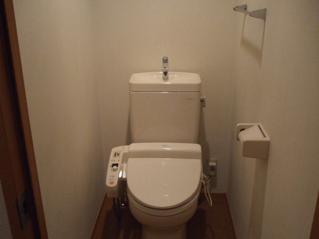 Toilet. Western-style toilet