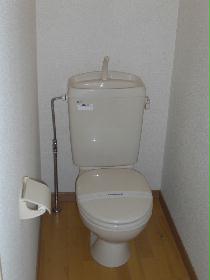 Toilet. We offer a clean toilet