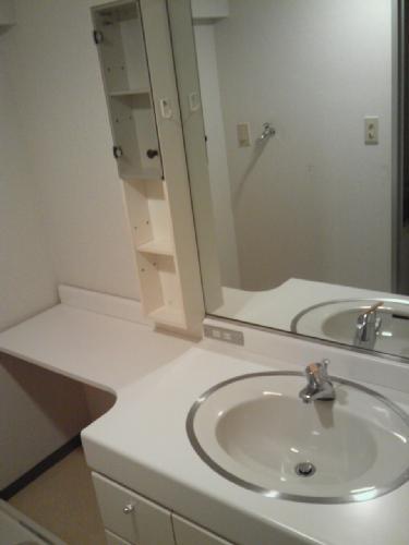 Wash basin, toilet. Dressing room