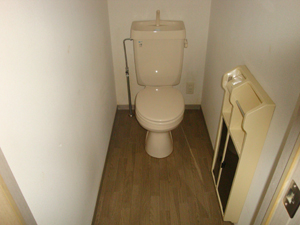 Toilet. Toilet