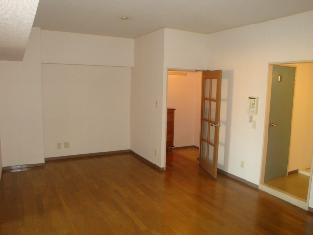 Living and room. Living (2)