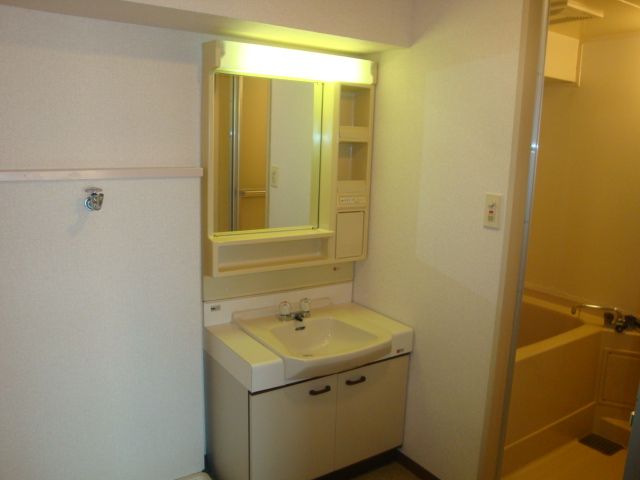 Washroom. Independent wash basin