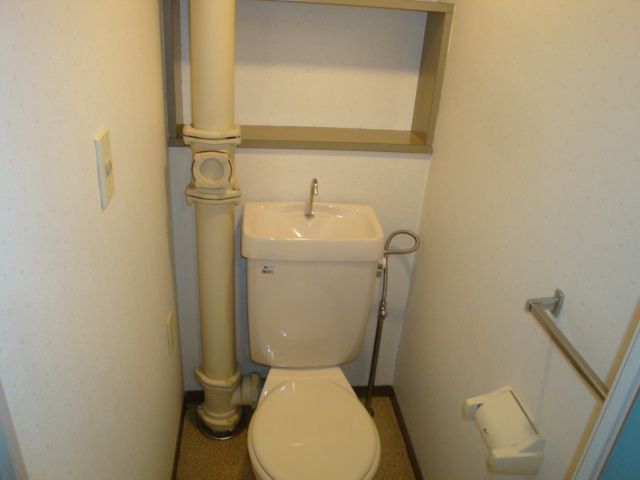 Toilet. Western-style toilet