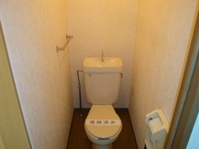 Toilet. Western-style toilet