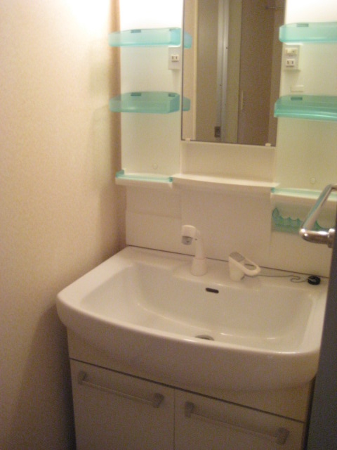 Washroom. Shampoo dresser mounting