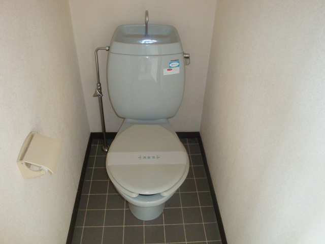 Toilet. Western-style toilet