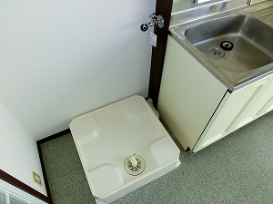 Kitchen. Indoor Laundry Storage