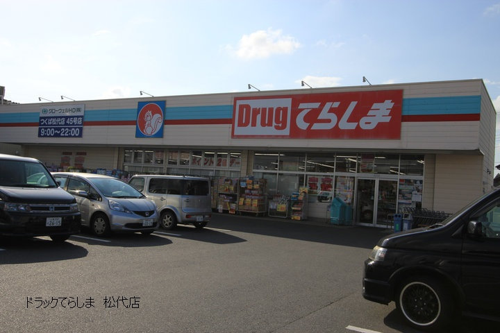 Dorakkusutoa. Drag Terashima Tsukuba Matsushiro shop 496m until (drugstore)