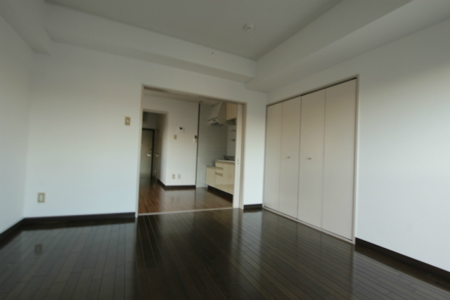 Living and room. Since the slide door all the room space effective utilization