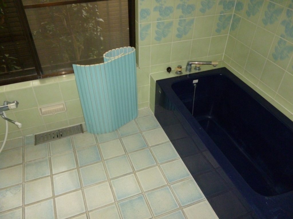 Bath. Spacious bathroom