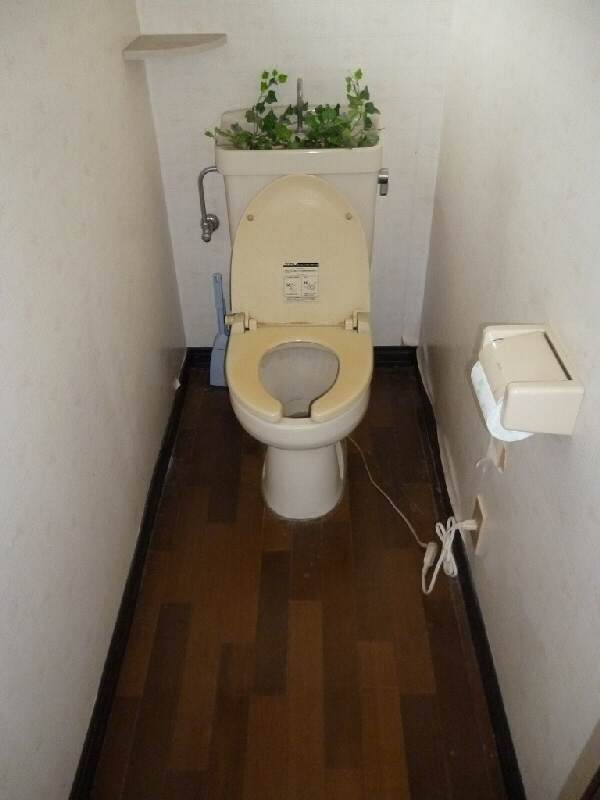 Toilet