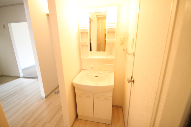 Washroom. Washbasin with shower