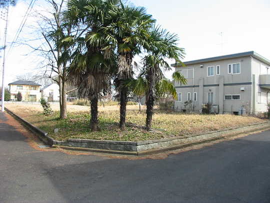 Local land photo