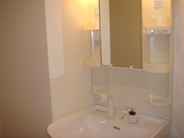 Washroom. A shower wash basin
