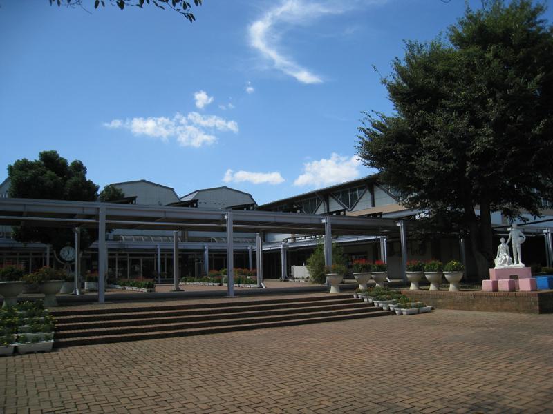 Primary school. Bamboo Garden 560m to East Elementary School