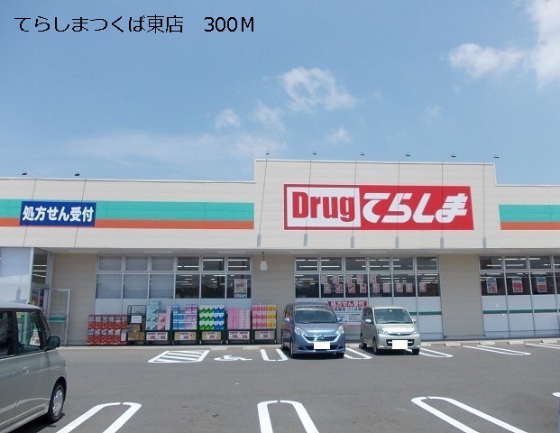 Dorakkusutoa. Terashima Tsukuba Higashiten 300m to (drugstore)