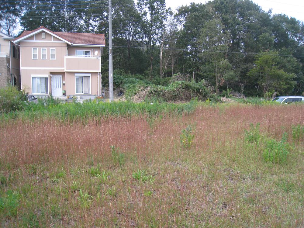 Local land photo. North direction from the site south