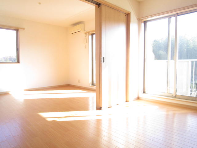 Living and room. Sunny