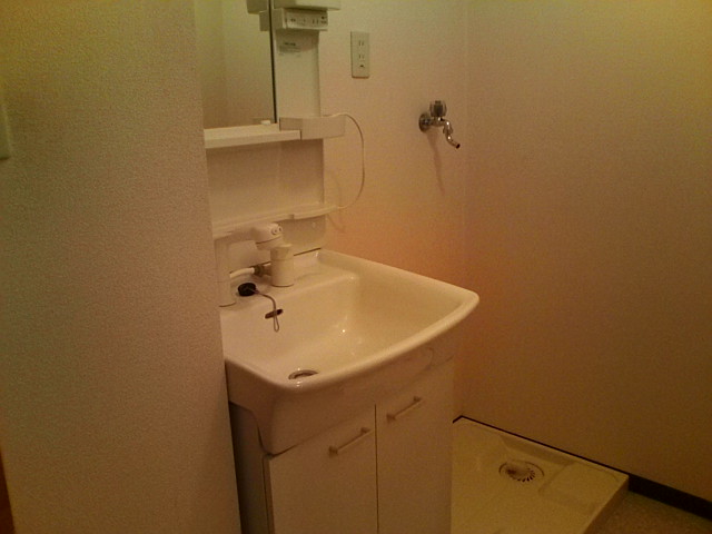 Washroom. Great shampoo dresser