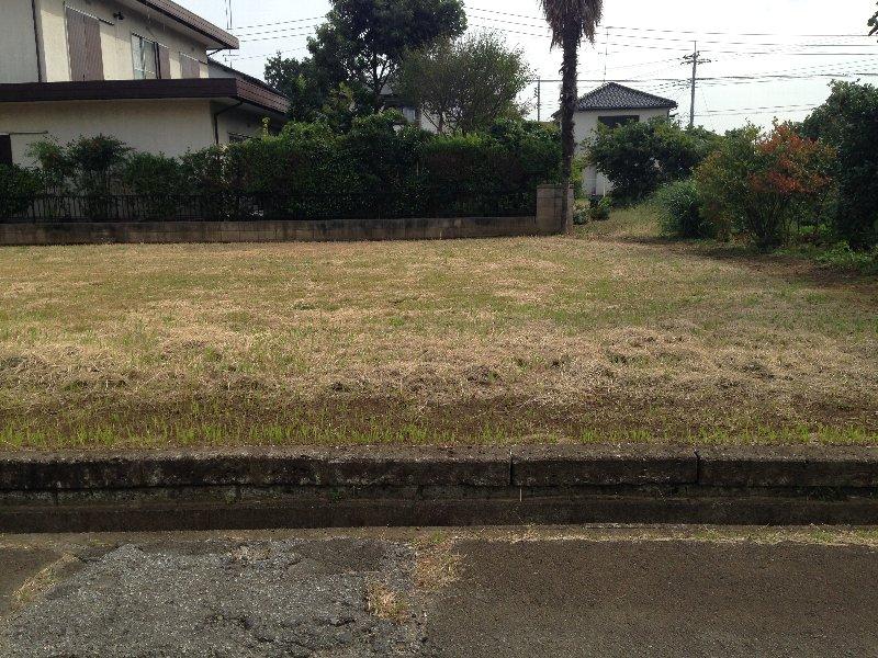 Local land photo
