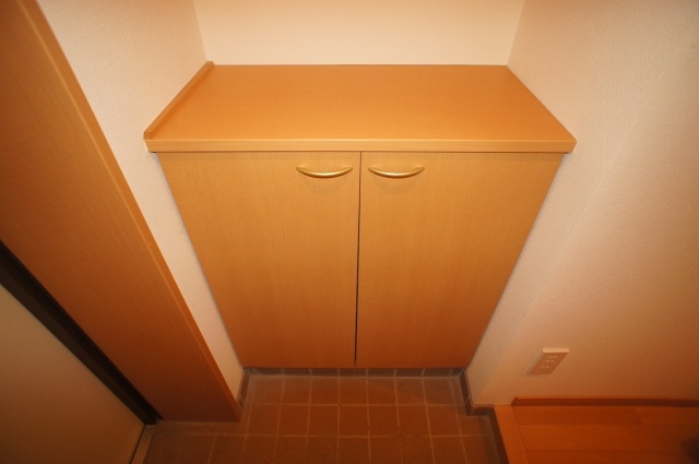 Entrance. With a shoe box