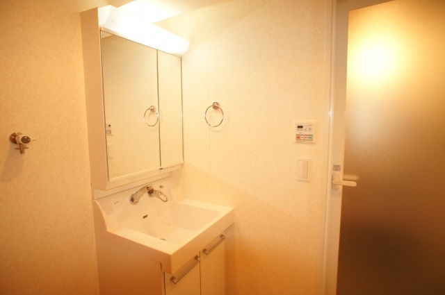 Washroom. Washbasin with shower